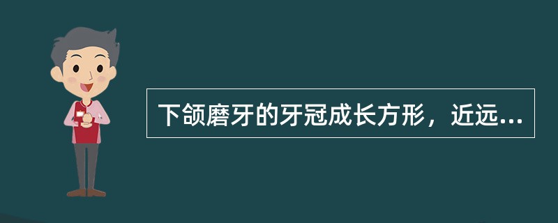 下颌磨牙的牙冠成长方形，近远中径大于颊舌径，关于下颌第一磨牙：其<img border="0" style="width: 15px; height: 12px;&