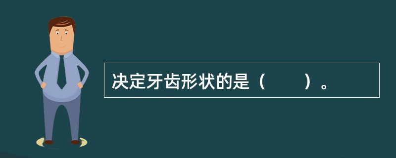 决定牙齿形状的是（　　）。