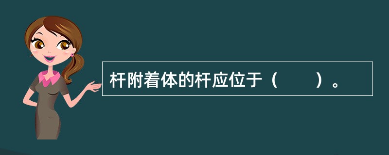 杆附着体的杆应位于（　　）。