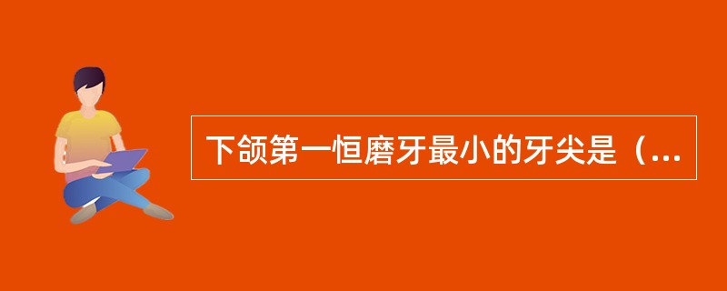 下颌第一恒磨牙最小的牙尖是（　　）。