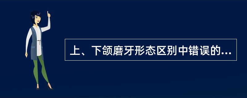 上、下颌磨牙形态区别中错误的是（　　）。