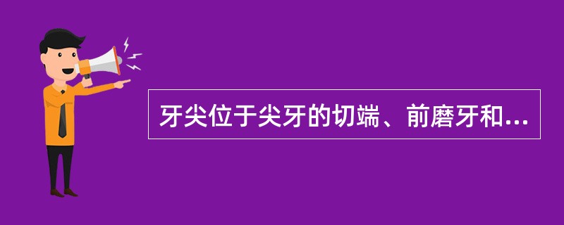 牙尖位于尖牙的切端、前磨牙和磨牙的面上，后牙<img border="0" style="width: 15px; height: 12px;" src=