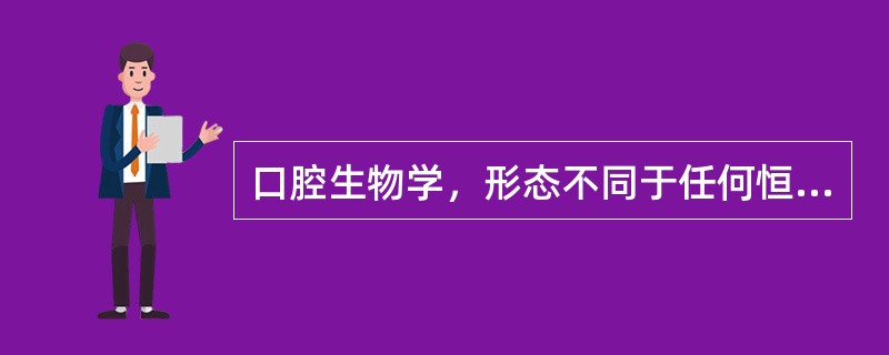 口腔生物学，形态不同于任何恒牙的是（　　）。
