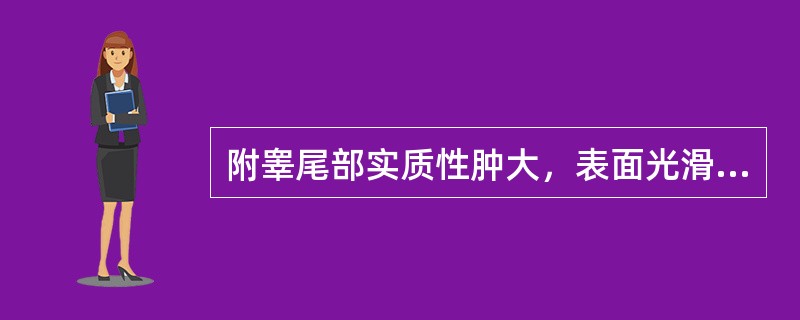 附睾尾部实质性肿大，表面光滑，界限清楚，应诊为