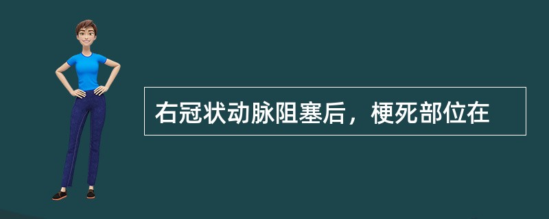 右冠状动脉阻塞后，梗死部位在