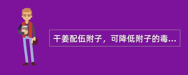 干姜配伍附子，可降低附子的毒性，属于