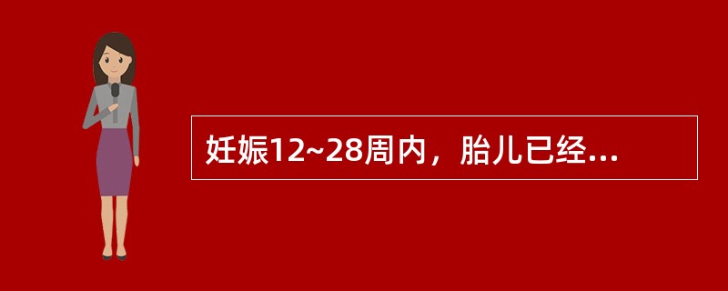 妊娠12~28周内，胎儿已经成型，而自然殒堕者