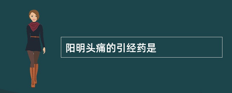 阳明头痛的引经药是