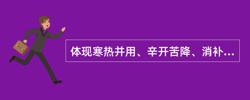 体现寒热并用、辛开苦降、消补兼施配伍特点的方剂是