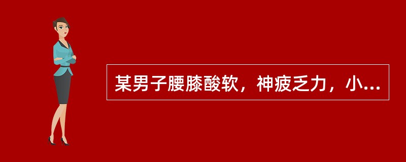 某男子腰膝酸软，神疲乏力，小便频数，遗精，舌淡苔白脉弱，证属