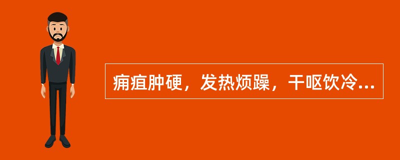 痈疽肿硬，发热烦躁，干呕饮冷，大便秘结，舌干口苦，脉沉实。治疗宜选用