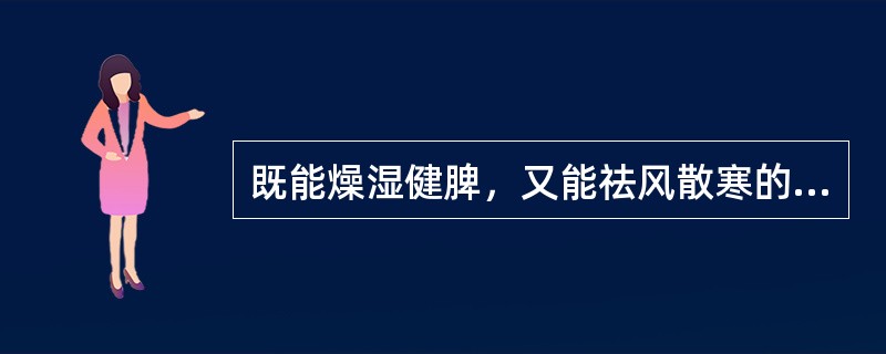 既能燥湿健脾，又能祛风散寒的药物是