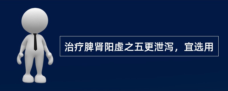 治疗脾肾阳虚之五更泄泻，宜选用