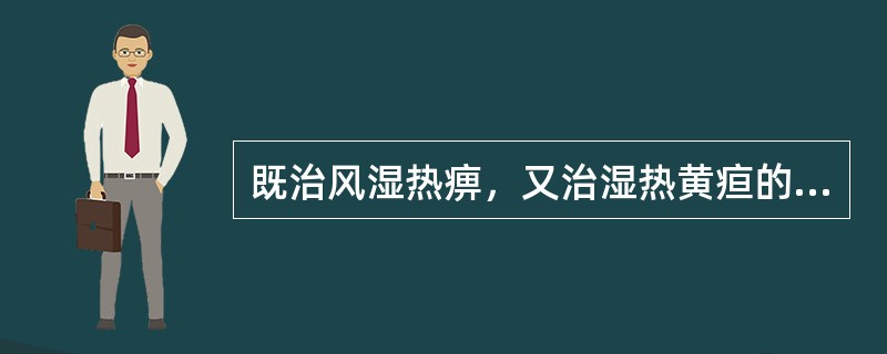 既治风湿热痹，又治湿热黄疸的药物是