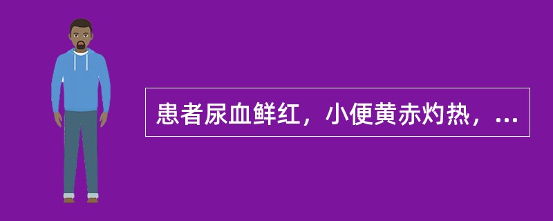 患者尿血鲜红，小便黄赤灼热，心烦口渴，面赤口疮，夜寐不安，舌质红，脉数。<br />治疗应首选