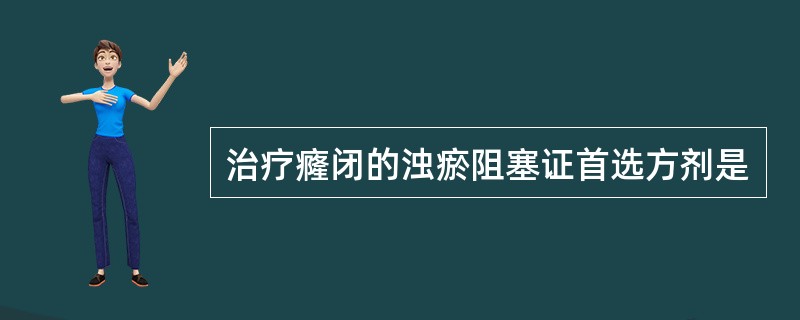 治疗癃闭的浊瘀阻塞证首选方剂是