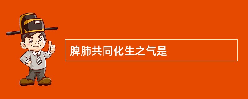 脾肺共同化生之气是