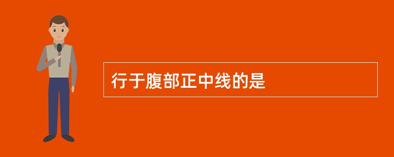 行于腹部正中线的是