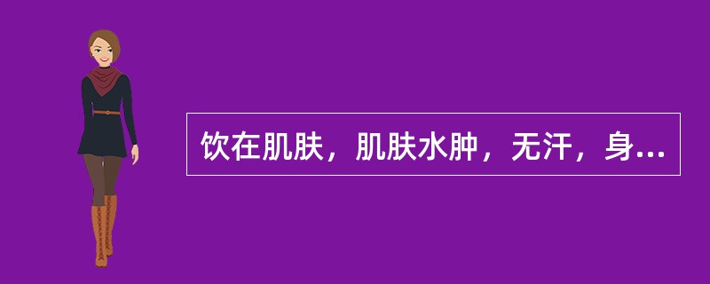 饮在肌肤，肌肤水肿，无汗，身体疼重者，其证候是