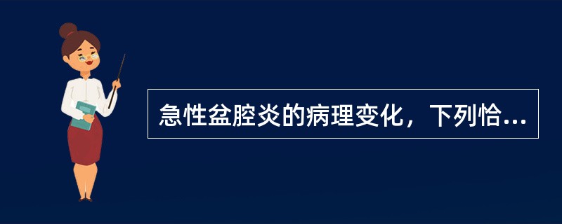 急性盆腔炎的病理变化，下列恰当的是