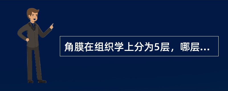 角膜在组织学上分为5层，哪层损伤后修复迅速：