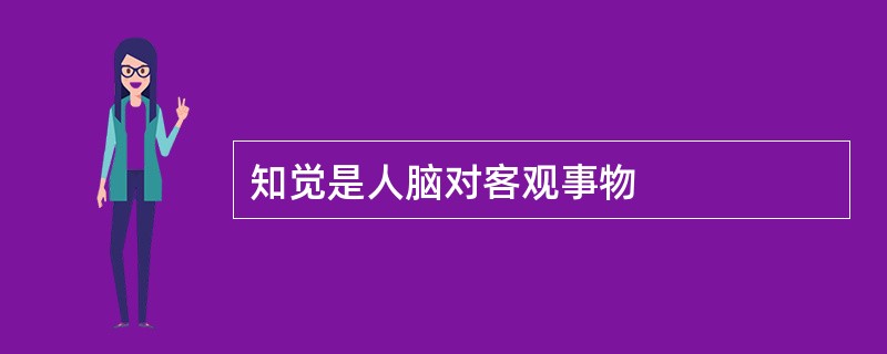 知觉是人脑对客观事物