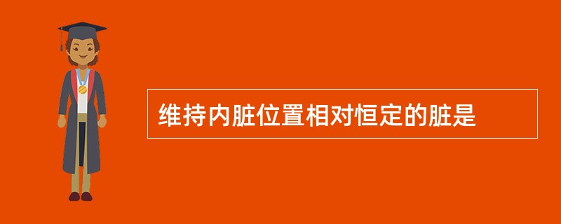 维持内脏位置相对恒定的脏是