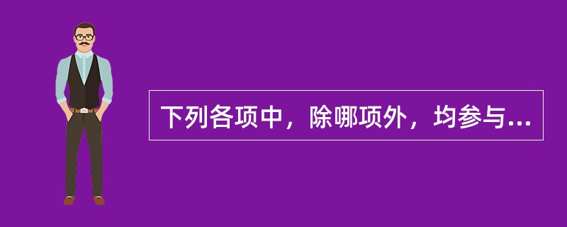 下列各项中，除哪项外，均参与肛管直肠环的组成：