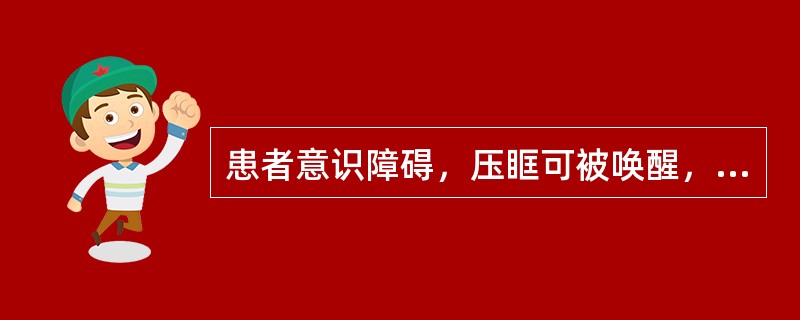 患者意识障碍，压眶可被唤醒，醒后答非所问，很快再度入睡，其意识障碍类型是