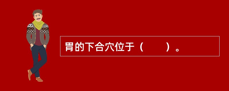 胃的下合穴位于（　　）。 