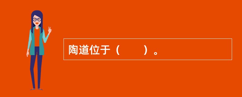 陶道位于（　　）。 