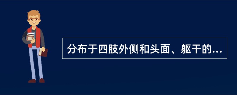 分布于四肢外侧和头面、躯干的经脉是（　　）。