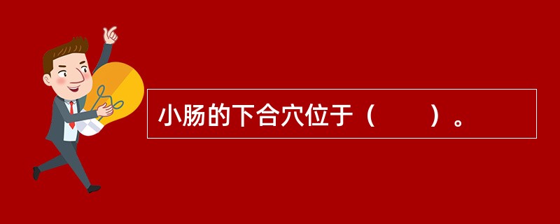 小肠的下合穴位于（　　）。 