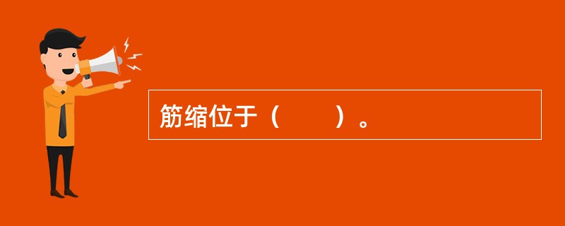 筋缩位于（　　）。 