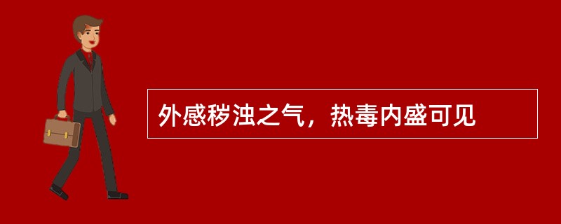 外感秽浊之气，热毒内盛可见