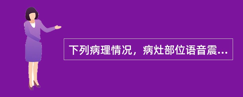 下列病理情况，病灶部位语音震颤增强的是