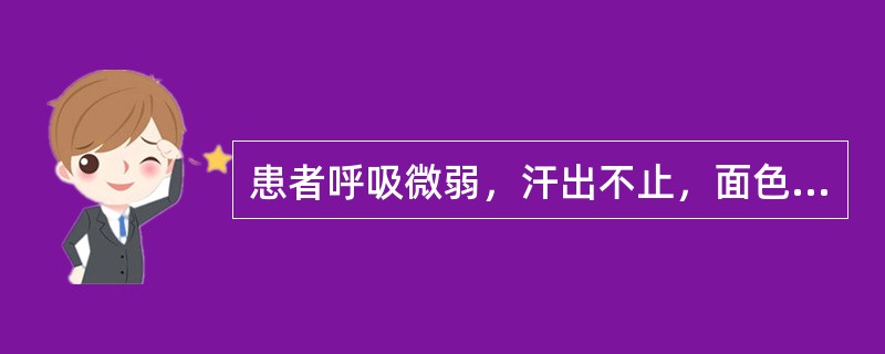 患者呼吸微弱，汗出不止，面色苍白，口开目合，手撒身软，二便失禁，脉微欲绝，舌淡苔白，证属