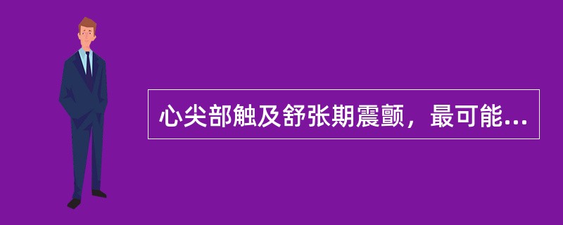 心尖部触及舒张期震颤，最可能的疾病是