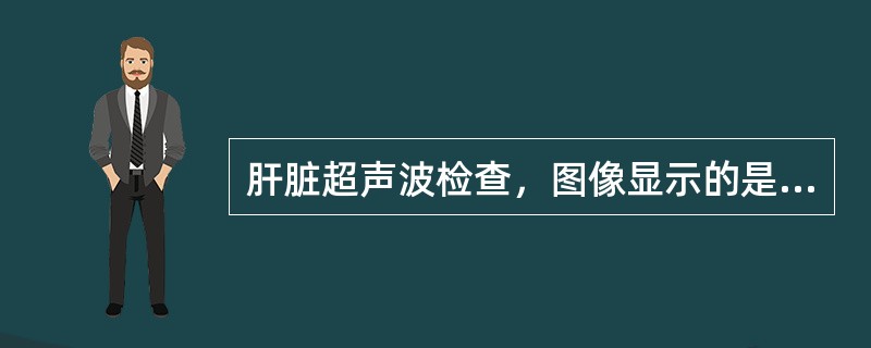 肝脏超声波检查，图像显示的是等回声，提示为