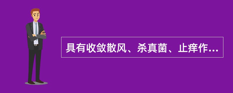 具有收敛散风、杀真菌、止痒作用的外用剂型是：