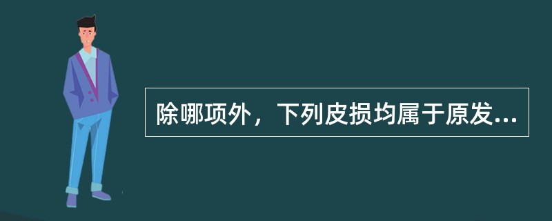 除哪项外，下列皮损均属于原发皮损：