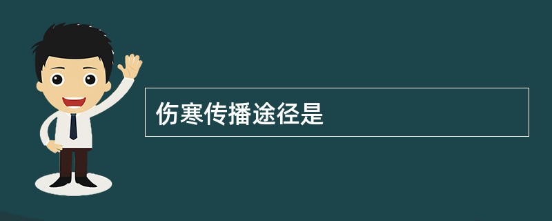 伤寒传播途径是