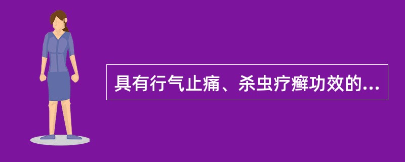 具有行气止痛、杀虫疗癣功效的药物是