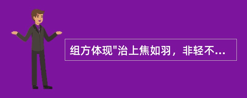 组方体现"治上焦如羽，非轻不举"用药原则的方剂是