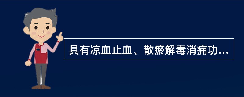 具有凉血止血、散瘀解毒消痈功效的药物是