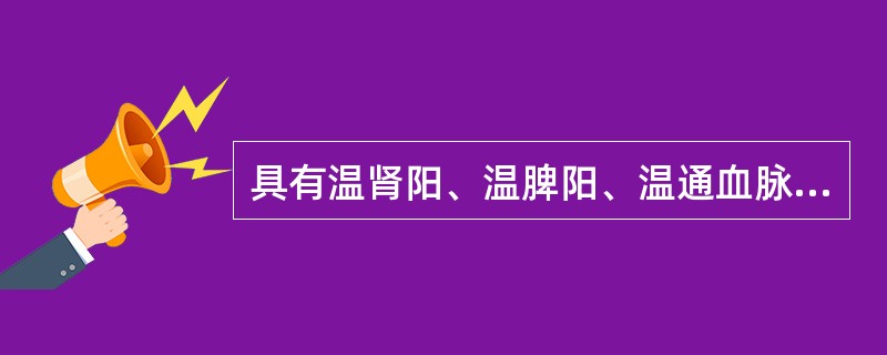 具有温肾阳、温脾阳、温通血脉、引火归原功效的药物是