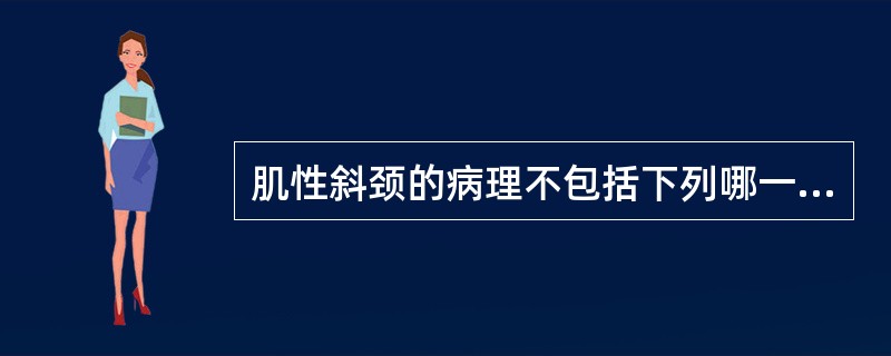 肌性斜颈的病理不包括下列哪一项？（　　）