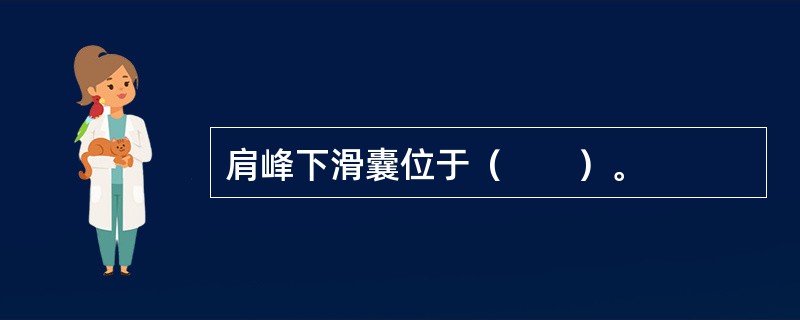 肩峰下滑囊位于（　　）。