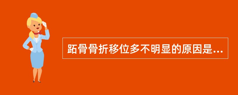 跖骨骨折移位多不明显的原因是（　　）。