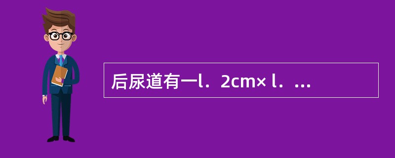 后尿道有一l．2cm× l．8cm×0．8cm结石影，患者排尿困难，最佳治疗方案应是（　　）。